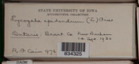 Image Associated With the Occurence